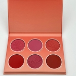 پالت رژگونه 6 رنگ Flural Flush شیگلم 