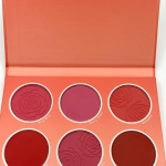 پالت رژگونه 6 رنگ Flural Flush شیگلم 