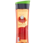 شامپو هرباسنس حجم دهنده مو مناسب مو نازک و کم حجم حاوی گریپ فروت و نعنا آردن